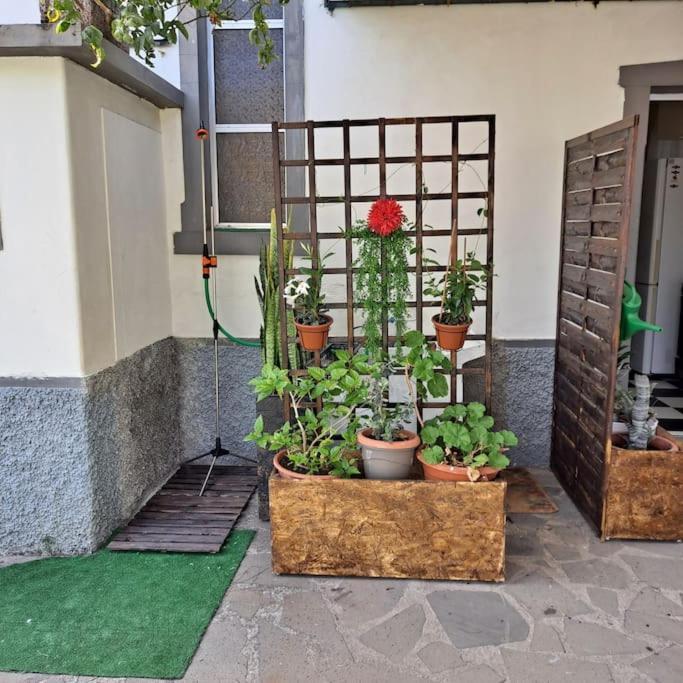 Chale Funchal - City View Ngoại thất bức ảnh